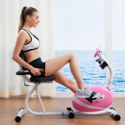 SUNNY HEALTH&FITNESS  P8400 家用磁控卧式单车