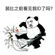 【话题】你在游戏里见过最奇葩的ID是什么？