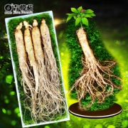 吉韩庄 长白山人参 30g 3-4支 长23cm
