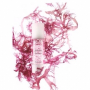 口碑贵妇牌 Chantecaille 香缇卡 全线两件8折，明星产品 国内￥1250 花妍活肤精华液 £68.8