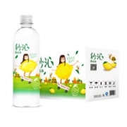限地区：天地精华 柠檬味果味水 500ml*15瓶/箱