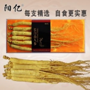 阳亿 长白山人参 每盒5-6支 30g礼盒装