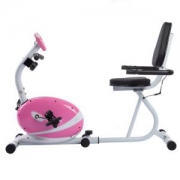 SUNNY HEALTH&FITNESS 家用磁控卧式健身车懒人车P8400（供应商直送）