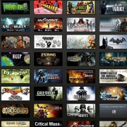 争夺单机游戏这款蛋糕 国产游戏平台能否赢过Steam？