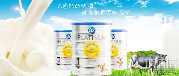 荷兰牛栏和澳洲A2哪个好?