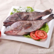 限地区，海买 冷冻印度青石斑鱼 500g 2-4条