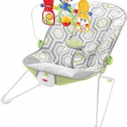 Fisher-Price 费雪婴儿安抚摇椅