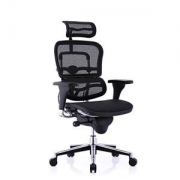 Ergonor 保友办公家具 人体工学电脑椅 金豪标准版