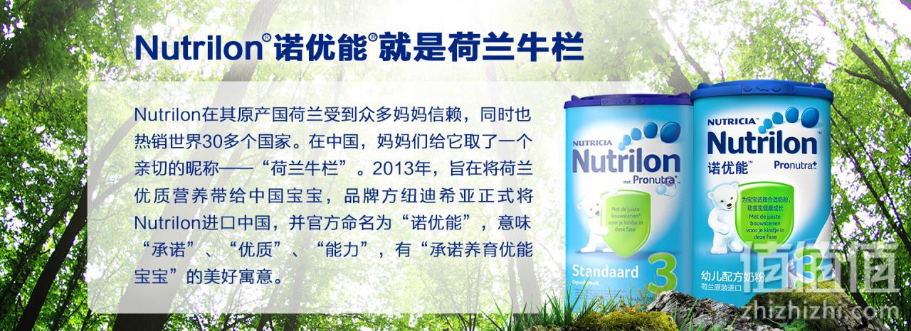 荷兰诺优能是牛栏吗