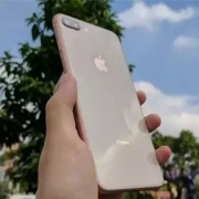 排队抢到 iPhone 8，但这场面苹果看了要哭死