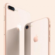 明日8点开卖！国行iPhone 8/8 Plus 一触即发