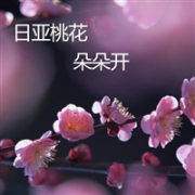 日亚“桃花”朵朵开，补货降价每日奉上，任你剁手千万遍不见不散！