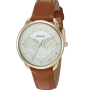 Fossil 化石 ES4006女士手表