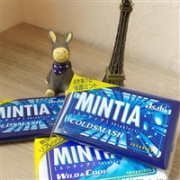 Asahi朝日 MINTIA 无糖清凉薄荷糖50粒*10个 三款可选
