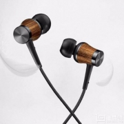 镇店之宝，JVC 杰伟世 HA-FW8 木振膜入耳式耳机