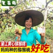 果恋萌 四川黄心猕猴桃 15个