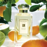 JO MALONE 祖马龙 青柠罗勒与柑橘古龙淡香水 100ml