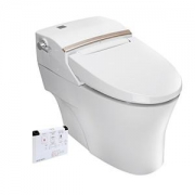 American Standard 美标 CEAS5392 一体智能马桶 + （0711+S048）三出水淋浴柱组合
