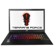 京东PLUS会员： Terrans Force 未来人类 DR7 17.3英寸游戏本