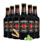 Tennent 替牌 黑啤酒 组合装 330ml*6瓶