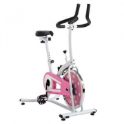 SUNNY HEALTH&FITNESS 家用室内健身动感单车 健身车P8100/SF-B1203（供应商直送）