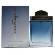 Salvatore Ferragamo 菲拉格慕 蓝色经典 男士淡香水 EDT 30ml *2件