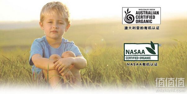 澳洲贝拉米和德国喜宝哪款更好