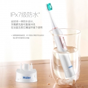 新低，Haier 海尔 DY-06 声波电动牙刷  3色