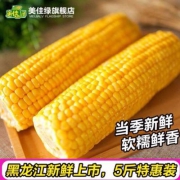 美佳绿 东北鲜糯黄玉米5斤