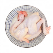 天农 清远土鸡 1000g