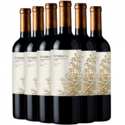 智利进口红酒 干露费洛雅赤霞珠西拉 干红葡萄酒 750ml*6瓶