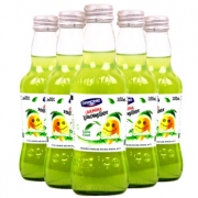 限地区：阿卡娜（AKMINA）青柠檬味 充气饮料 200ml*6瓶 整箱