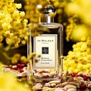 祖·马龙（Jo Malone）   含羞草与豆蔻 古龙淡香水 100ml