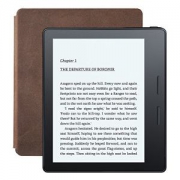 Kindle Oasis 一代 电子阅读器 Wi-Fi