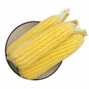 绿鲜知 甜玉米 约1kg