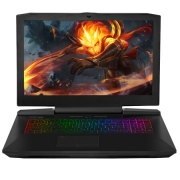 神舟（HASEE）  战神 GX10-CP7 Pro 17.3英寸游戏笔记本电脑（i7-8700K、16GB、512GB+1TB、GTX1080）