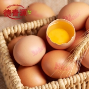 德青源  谷饲原生态鲜鸡蛋 32枚 礼盒装 营养健康