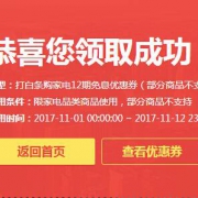 优惠券：京东家电 12期免息券