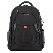 新秀丽（Samsonite）   多功能电脑双肩背包 36B*09008