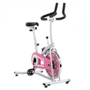 秒杀:历史新低！SUNNY HEALTH&FITNESS P8100 家用动感单车