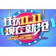 促销活动：京东商城 HKC 狂欢11.11 现在就抢