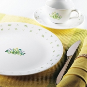 CORELLE 康宁餐具 12-HC/M/CN 12头 香草城市 玻璃餐具组