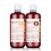 【嗨翻双11】ZOOLY 卓蓝雅生姜洗发水 洗护套装 800ml*2瓶