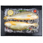 预售：SAN DU GANG 三都港 冰鲜黄花鱼 900g