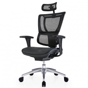 Ergonor 保友办公家具 人体工学电脑椅 优Ioo智尚版