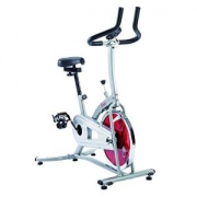 秒杀：历史底价！SUNNY HEALTH&FITNESS P8100 家用动感单车