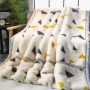 素风家纺 双层加厚保暖拉舍尔毛毯 150*200cm4斤