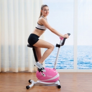 SUNNY HEALTH & FITNESS SF-P8200 家用磁控单车