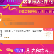 京东 今日购物满199元