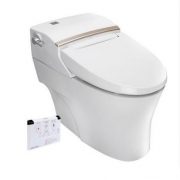 American Standard 美标 CEAS5392  一体智能坐便器